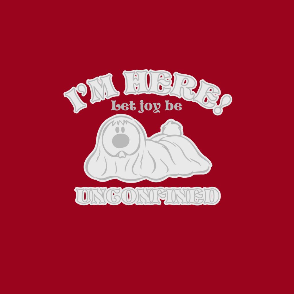 The Magic Roundabout Dougal Let Joy Be Unconfined Kid's product image 7